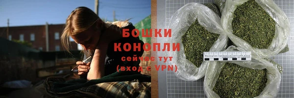 твердый Иннополис