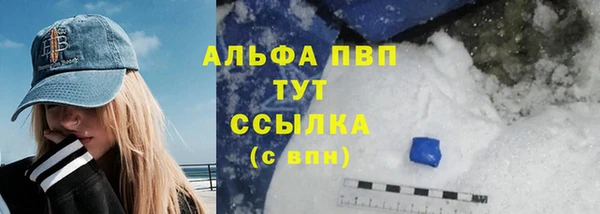 твердый Иннополис