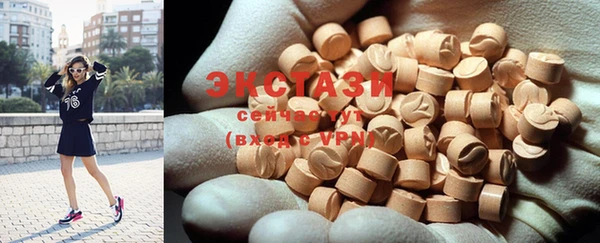 гидра Инсар