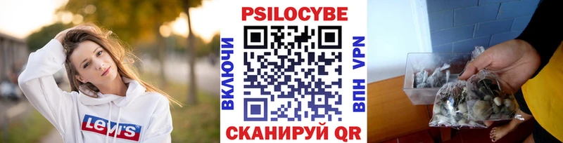 Псилоцибиновые грибы Psilocybe  купить   Сельцо 
